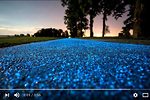 波蘭太陽能自行車道 晚上發出耀眼藍光