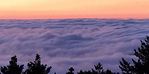 （4K 視頻）加州Mount Tamalpais 波瀾壯闊的雲霧仙境