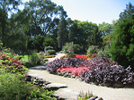 Royal Botanical Gardens-加拿大皇家植物園