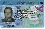 安省擬取消可取代護照之加強版駕照