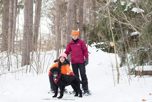A_theme_snowshoeing-and-dog.jpg