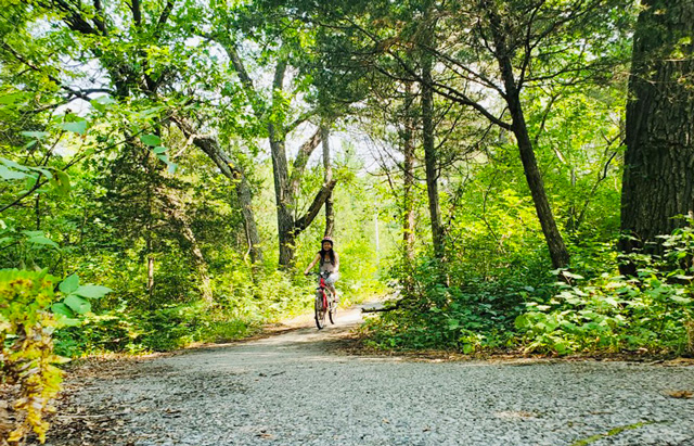 Pinery森林公园骑车 休伦湖畔漫步
