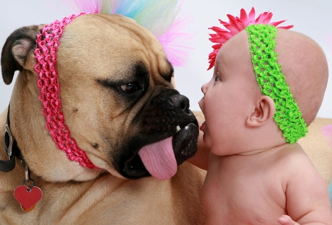 dog_baby_iStock_000016111613Small.jpg