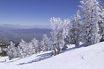美國成為全球最受歡迎的高斜坡滑雪勝地