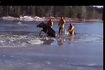 新省消防員救出困冰河500磅重麋鹿