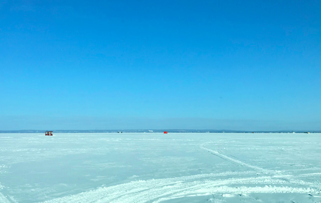 🔴青石路亚钓鱼日志冰钓白鱼（Lake Simcoe Whitefish) 假饵（Lure 路亚）分享Ice Fishing Lake Simcoe  